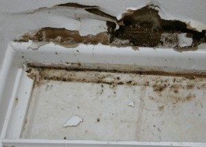 Mold growing on baseboards of home