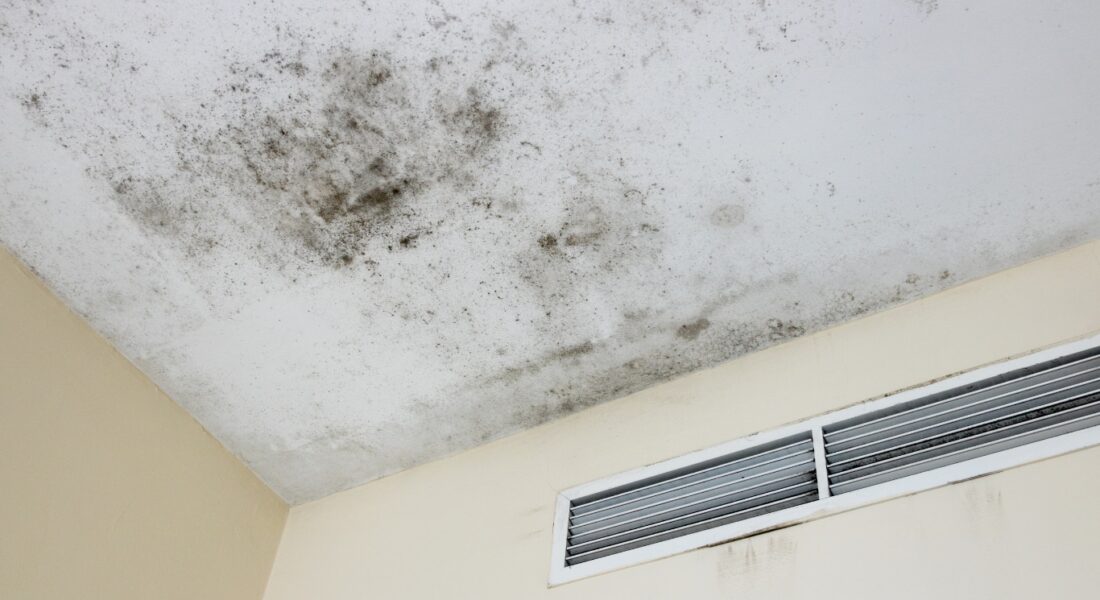 Signs Of Mold Growth On Ceiling