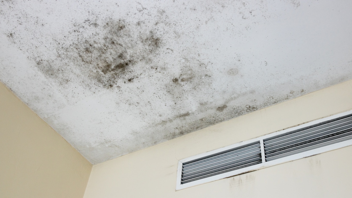 Signs Of Mold Growth On Ceiling