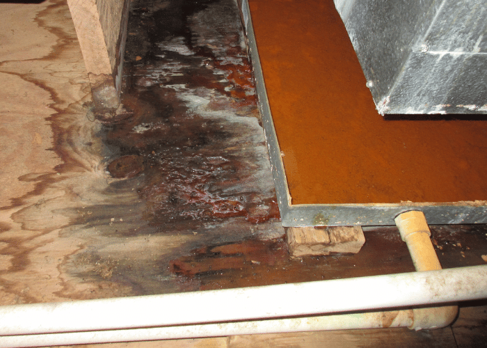 Water Damage Under Floor