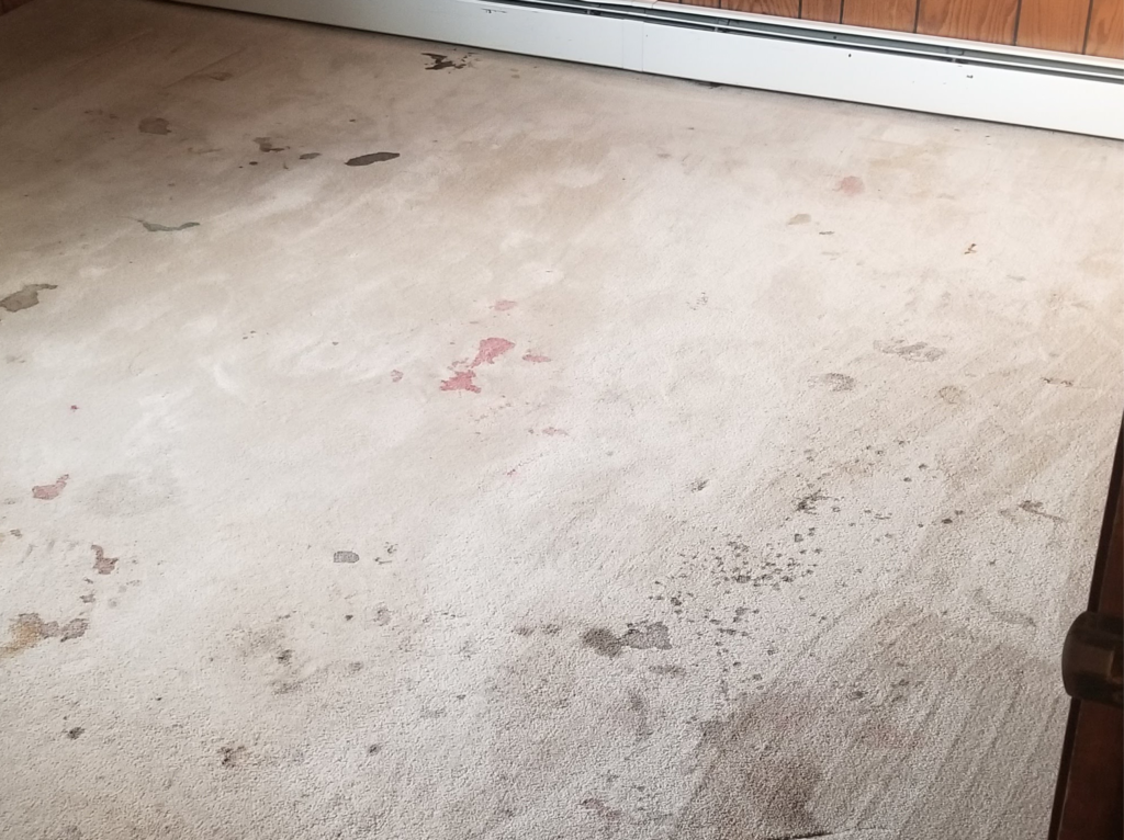 Dirty Carpet Dangers How Neglecting Your Floor Can Impact Your Health