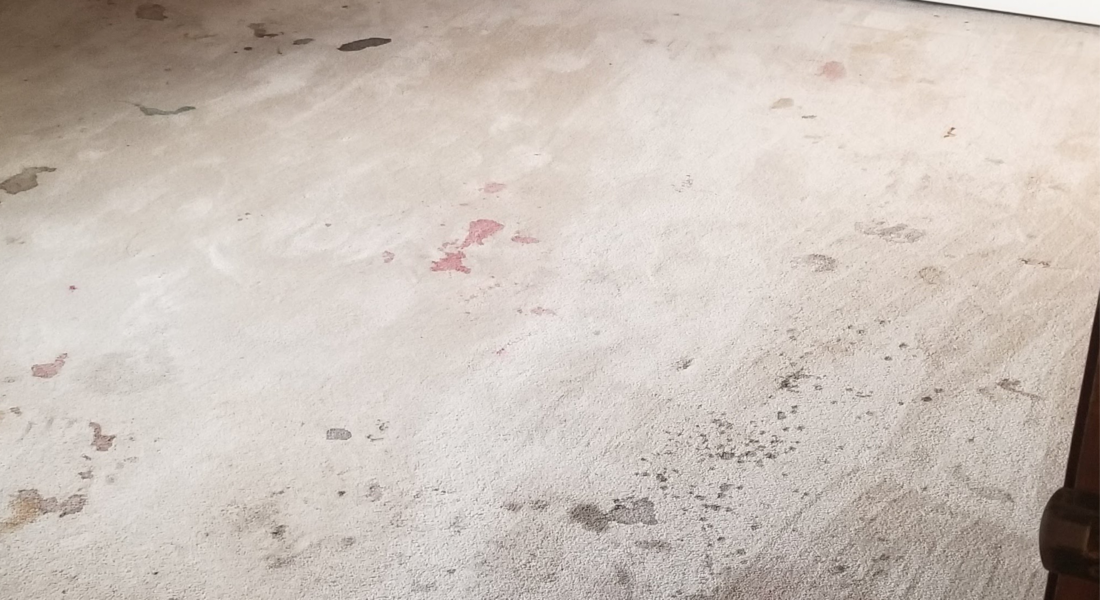 Dirty Carpet Dangers How Neglecting Your Floor Can Impact Your Health 24 Hour Flood Pros